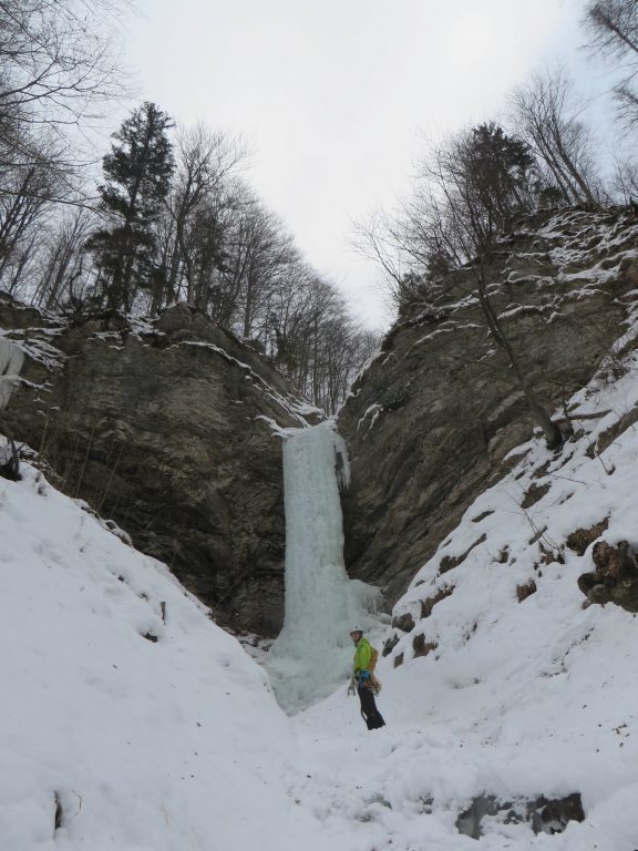 Katarza (drugič)...oz. sveča sred gmajne