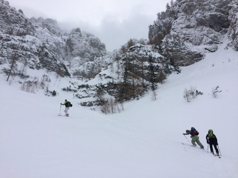 Tukaj gor gre (morda) Celovška riža