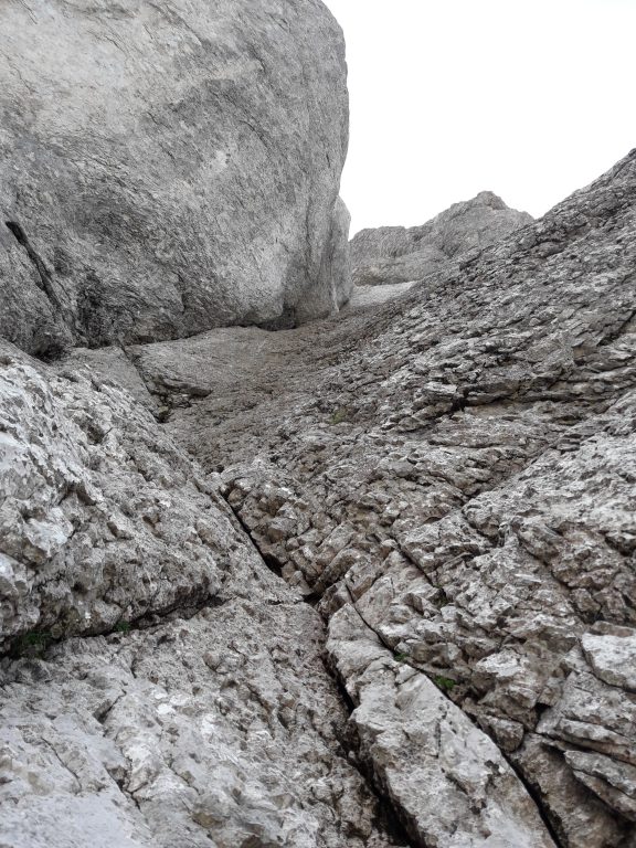 Povšnarjevo zajedico težko zgrešiš