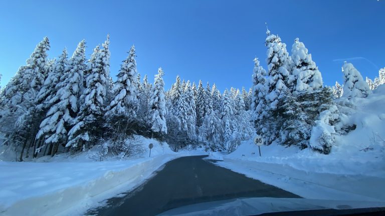 Cesta na Bohinjsko sedlo, kot včasih, ko so bile dobre zime