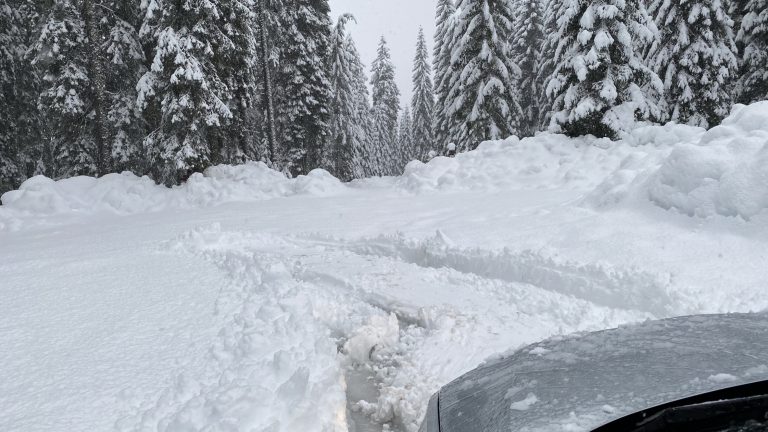 Parkirati smo morali z zaletom :D