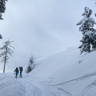 Proti Dovški Rožci