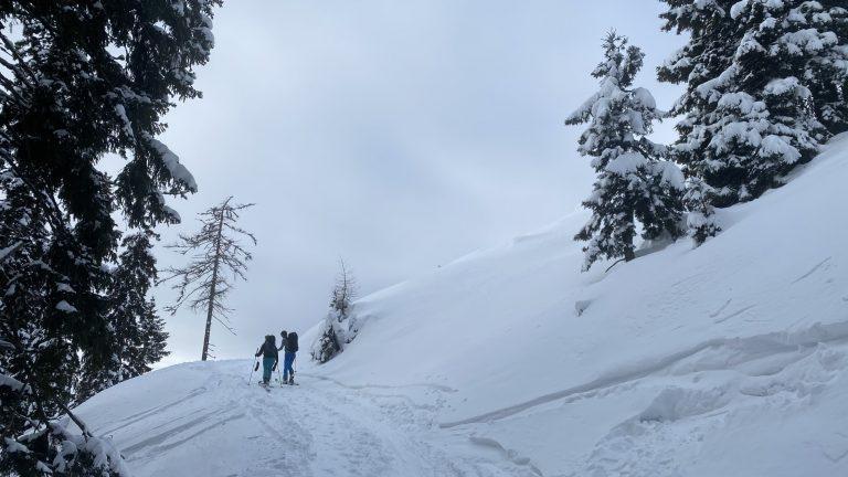 Proti Dovški Rožci