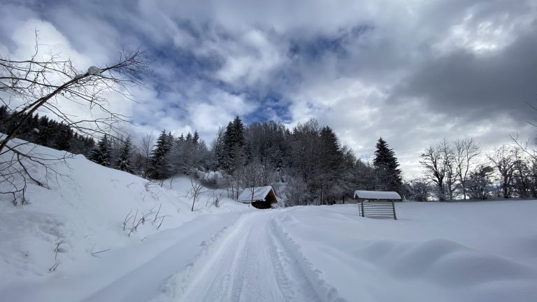 Bela cesta, vodi me ...