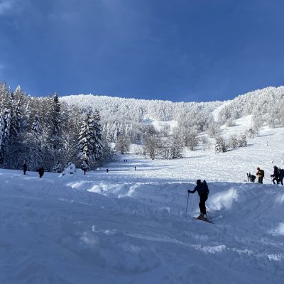 Vse popolnoma zvoženo