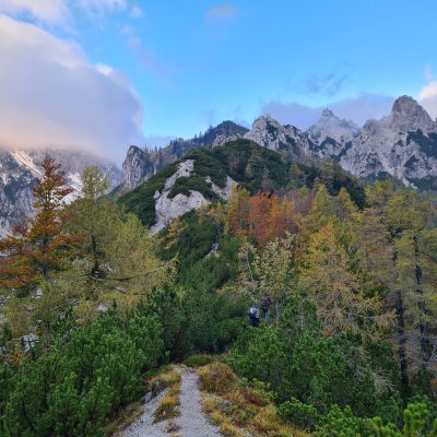 Jesenske barve. Foto: Tanja Stanič