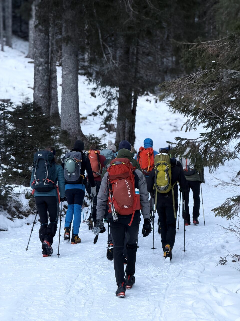 Na poti proti planini Konjščici