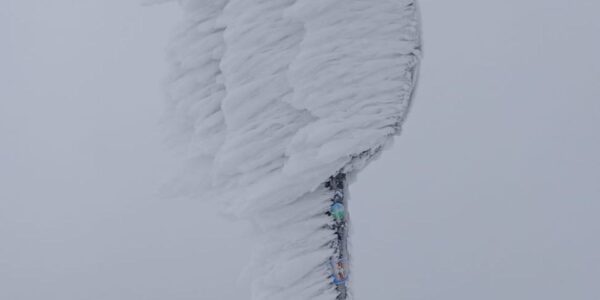 Razgleda ni, so pa čudoviti zimski okraski.