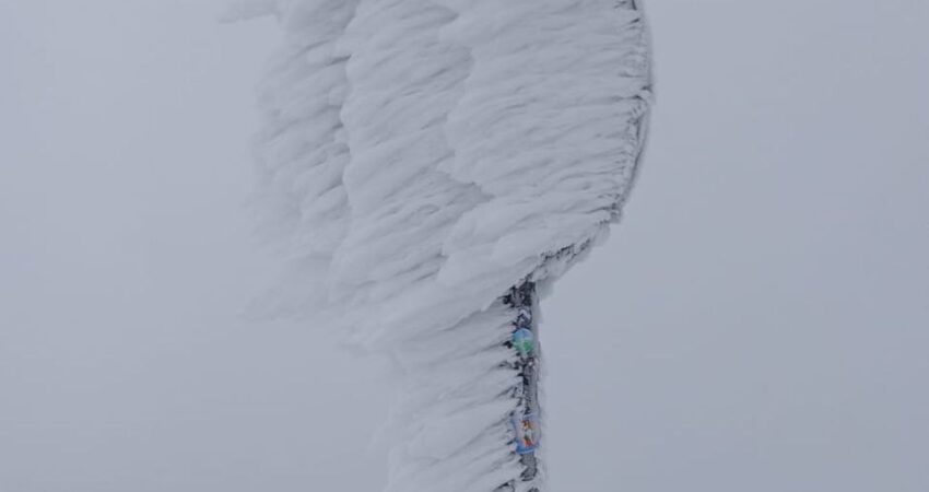Razgleda ni, so pa čudoviti zimski okraski.