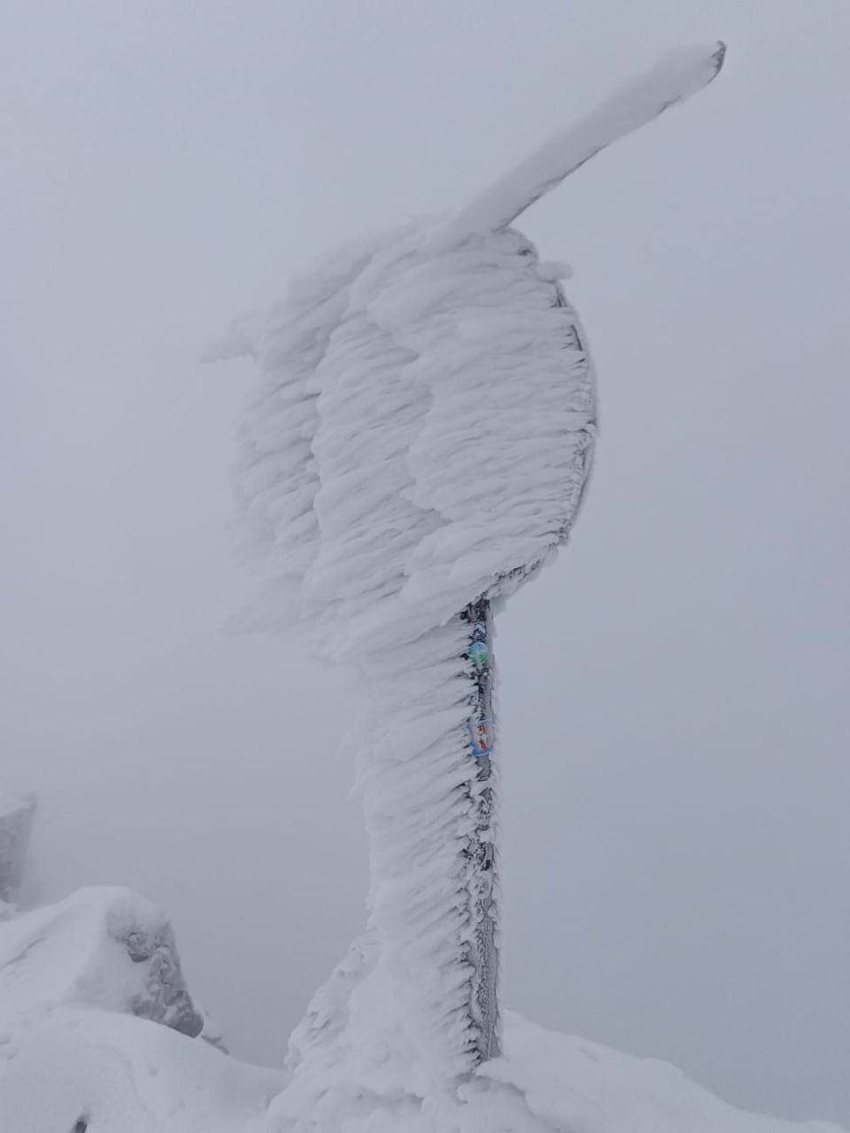 Razgleda ni, so pa čudoviti zimski okraski.